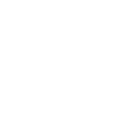 gift icon